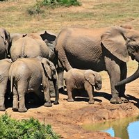 Kruger National Park & Blyde River Canyon 4 Day Tour