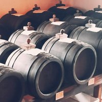 Private Balsamic vinegar & Parmigiano Reggiano factory visits