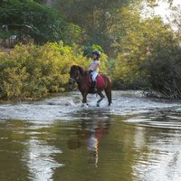 Pony Riding in Luang Prabang