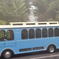 2.5 Hour Tour in Ketchikan on the Tongass Trolley