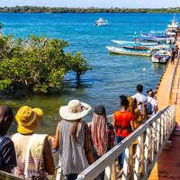 Dolphin Watch & Snorkeling at Kisite Marine Park & Wasini Island