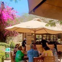 Private Tour to El Quelite Village and Tequila Distillery from Mazatlan