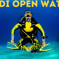 PADI Open Water Course in Costa Adeje