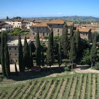Guided tour with wine tasting and local organic products
