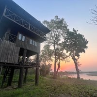 Jungle Towernight Stay: 4-Day Tour in Chitwan National Park