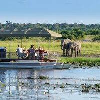 Full Day Private Tour in Chobe