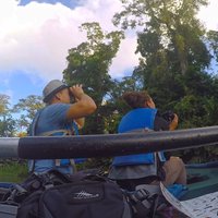 Half-Day / Canoe and Day Walk in to Tortuguero National Park