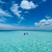 4 hours of shared snorkeling to El Cielo