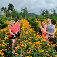 Mount Batur to Ubud – Soft Adventure Cycling
