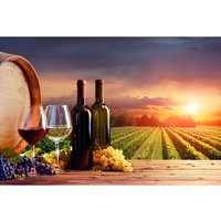 Chianti Wine Tour from Florence to San Gimignano with 2 Wineries