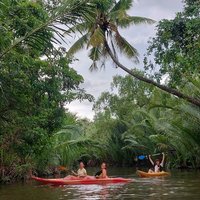Kampot Classic Tour & Kayaking at the Green Cathedral with lunch