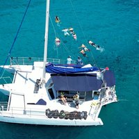 Best Waikiki Snorkel Tour: Guaranteed Turtles at Turtle Canyon