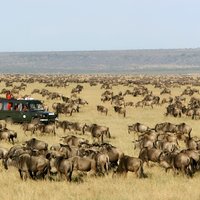 6 Days Kenya Budget Group Safari