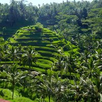 Private Full-Day Tour: Explore The Villages Of Ubud Bali