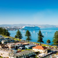 Tauranga Shore Excursion: Top Half Day Curated Highlights Tour