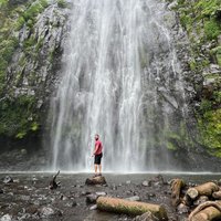 Private tour : Materuni Waterfalls & Coffee Tour with Local Lunch