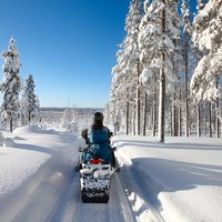 Easy Snowmobile Safari