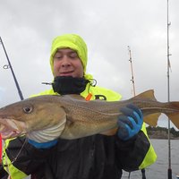 Half Day Fishing and cooking Stavanger