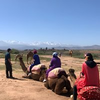 Agafay Desert: Excursion Camel Ride, dinner and Show