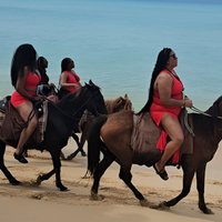 Horseback Riding at Hawksbill Beach in Five islands Antigua