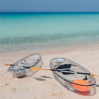 From Bangkok : Pattaya Island Trip with Activities & Drone Photo