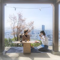 Hiroshima Local guided Hiking Tour&Open-air Tea Ceremony