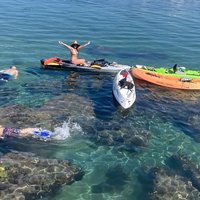 Kayak with Sea Lions in a Calm, Beautiful, Redondo Beach Harbor