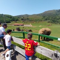 Cabarceno Natural Park Guided Visit from Santander