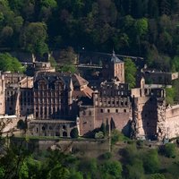 Heidelberg Castle and City Day Tour from Frankfurt