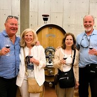 Premium Tour to Ribera del Duero with Wnologist Guide