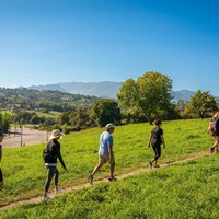 Taste of the Camino de Santiago