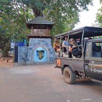 Wilpattu National Park Guided Tour in a Safari Jeep Ride