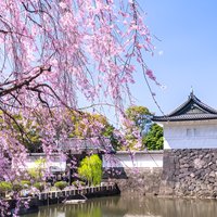 Tokyo Private Tour: Imperial Palace East Gardens&Edo Castle Ruins