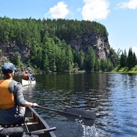 Guided Tours Algonquin Park