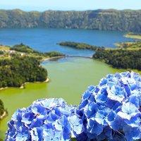 Guided visit to the Lagoon of Seven Cities volcano, São Miguel