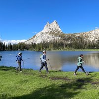 Yosemite: High Country Explorer - Private Hiking Tour