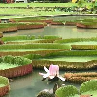 Full Day Flexi Private Tour in Penang Island with Pickup