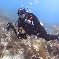 Private 2-Tank Dive with PADI Instructor for Certified Divers
