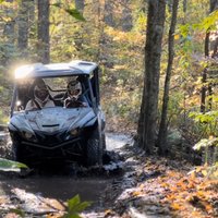 New River Gorge Side by Side Family Tour