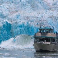 Juneau Tracy Arm–Fords Terror Wilderness Area & Glacier Explorer