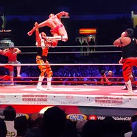 Private Lucha Libre : Mezcal tasting, Taco Tour or Mexican candy