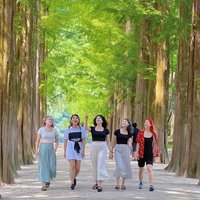 Nami Island, Alpaca World & Garden of Morning Calm Day Tour