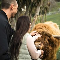 Queenstown Lake Cruise and Walter Peak Farm Adventure