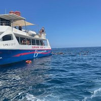 Swimming Tour by Gandía