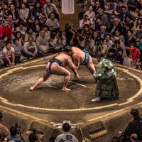 Sumo Tournament Experience in Osaka