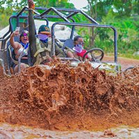 Buggy Ride into the Jungle coffee , chocolate tasting Cenote