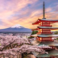 Full Day Tour at Mt. Fuji, Onsen, Lake Kawaguchi and Yamanaka