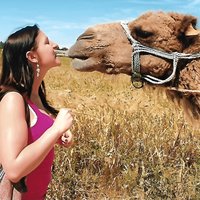Cultural Experience of Bedouin Village in Mahdia