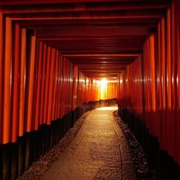 Kyoto Fushimi Inari Night Walking Tour