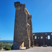 Roman Heritage & Wine Legacy